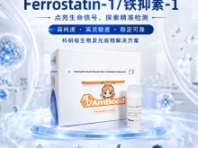 Ferrostatin-1/铁抑素-1 ≥99%