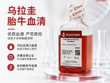 乌拉圭优级胎牛血清